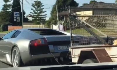 Lamborghini Murcielago towing goats in Australia