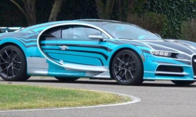 Bugatti Chiron Zebra-1